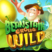 La Planta de Frijol Crece Salvaje thumbnail